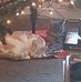 Marie Holler - Facebook
