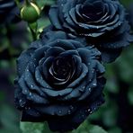 Marie Hutson - Facebook