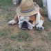 Marie Estelle Imhoff - Facebook