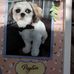 Marie Ingle - Facebook