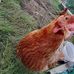 Marie Kessler - Facebook