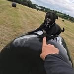 Julie Marie Kibble - @juliekibble85 - Instagram