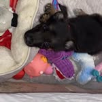 Julie Marie Kibble - @juliemariekibble - Instagram