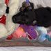 Julie Marie Kibble - Facebook