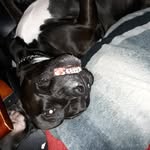 kibble❤ - @kibble_marie_nickell - Instagram