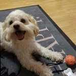 Marie Kightly - @mariekightly - Instagram