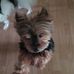 Mary Kilduff - Facebook