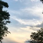 Marie Kilpatrick - @kilpatrick9934 - Instagram