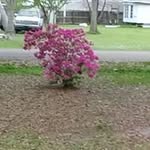 Marie Knott - @enola.knott.98 - Instagram