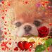 Marie Kohl - Facebook
