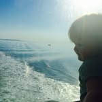 Marie Køster - @mariekoester - Instagram