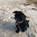 Merle Marie Köster - @mkster_thepearl - Instagram