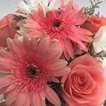 Marie Kron - @kron.marie - Instagram