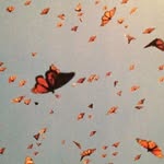Marie Kronborg - @marie_kronborg - Instagram