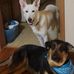 Marie Kunkle - Facebook