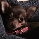 Marie-claude Kunz - @marieclaudekunz - Instagram