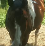 Marie Ladd - Facebook