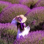 Marie France Laforest - @mariefrancelaforest - Instagram