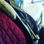 marie laforge - @mll_horse - Instagram
