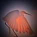 Marie Laforge Photography - Facebook