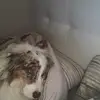 Mariella Mela - @mariellamela - TikTok