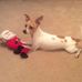 Marie Lamm - Facebook