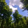 Marie Lapierre - @marie.lapierre7 - TikTok