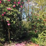 Marie Lapierre - @marie.lapierre.589 - Instagram