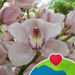 Marie LaRue - Facebook