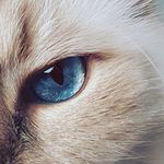 Cat Marie-Lavigne - @cat.marie_lavigne - Instagram