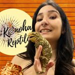 Marie Lavigne - @konohareptiles - Instagram