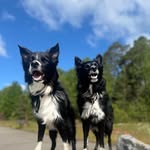 Marie Linder - @miaochco - Instagram