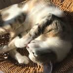 Marie Linder - Facebook