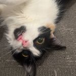 Marie Lindquist - @marie15502 - Instagram