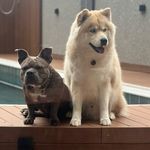 Marie & Logan - @marieelogan - Instagram