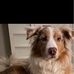 Marie-Audrey Loranger - Facebook