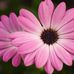 Marie Lowder - Facebook