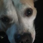 Marie Lowery Finney - @mfinney40 - Instagram