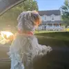 Mari Lucci - @unproblematicmari - TikTok