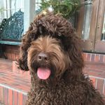 Marie-Luke マリー・ルーク - @marie.d9_9b.luke - Instagram