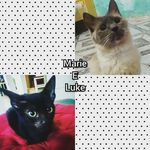 preto_branco - @marie_luke_ - Instagram