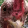 marie_lunde00__ - @marie_lunde00__ - TikTok