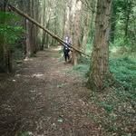 Marie Mahon - @fmpm70 - Instagram