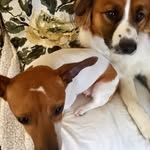 Marie Mahon - @marie.mahon.16 - Instagram