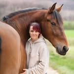 Marie & Mango | ⚜️ Dressage & aventures 🌿 - @marie_et_olivo_mango - Instagram