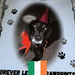 Marie Mannion - @mazzamannion - Instagram