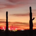 Marie Garcia-Many - @mariemany53 - Instagram