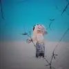 [= - @mikamariemarchant - TikTok