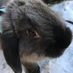Marie Markussen - @mariemarkussen8497 - Instagram