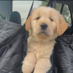 Vannah Marie Matheny - @savagehomegirl_v - Instagram